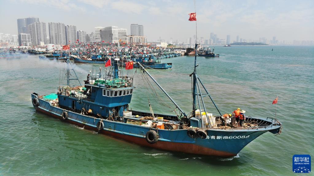 新华鲜报｜出海逐“新”浪 上市公司上半年海外收入3.83万亿元