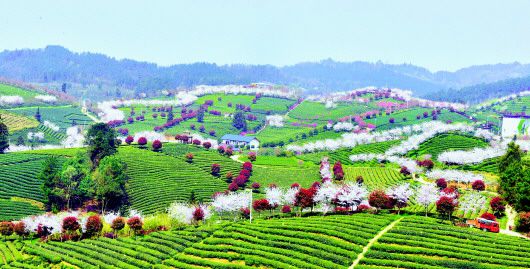 泰康养老党委书记、总裁薛振斌：助力提升养老二三支柱覆盖率