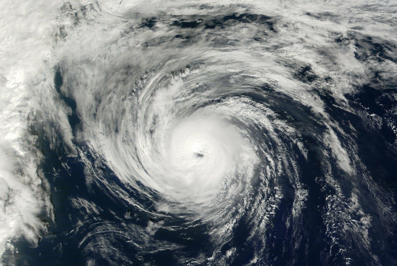 多家公司披露台风灾害影响 复工复产有序推进