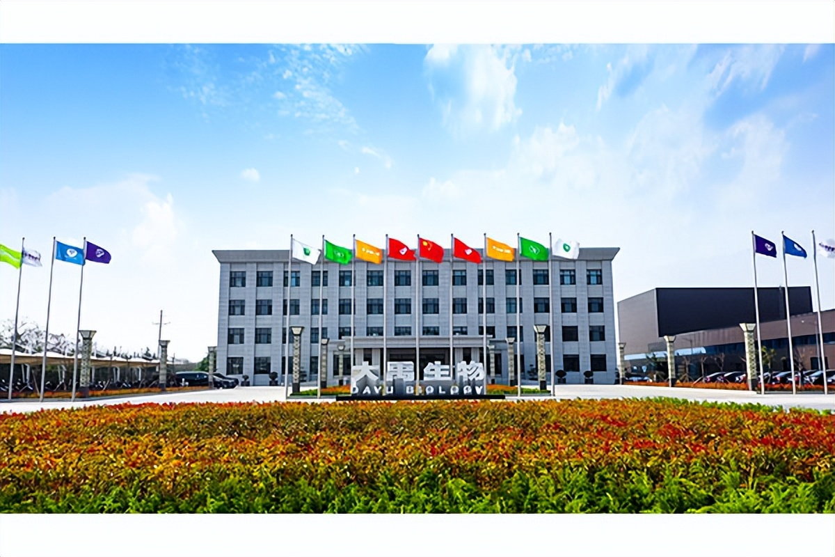 北交所新股铜冠矿建今日申购