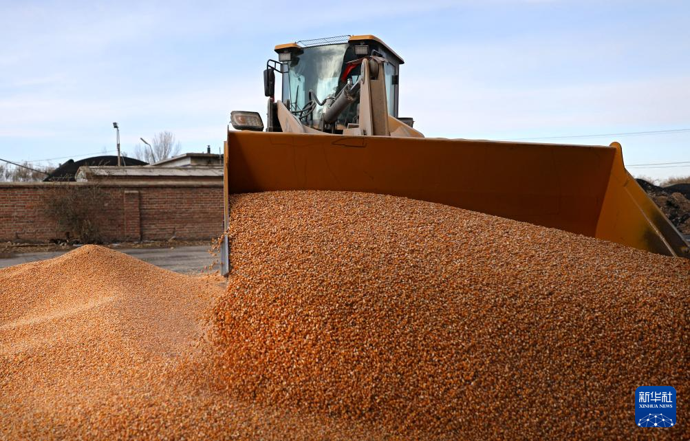 今年秋粮旺季收购预计2亿吨左右