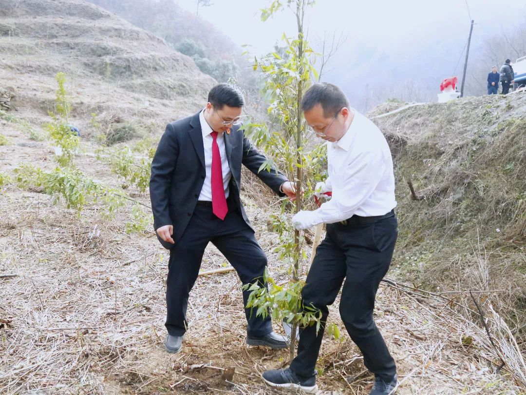 成都双流：三大主导产业欣欣向荣 落地企业茁壮成长