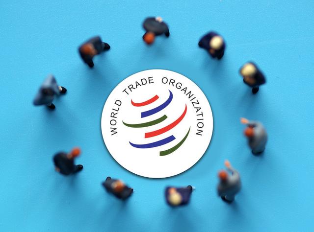 商务部：坚决反对欧终裁草案 将继续进行谈判