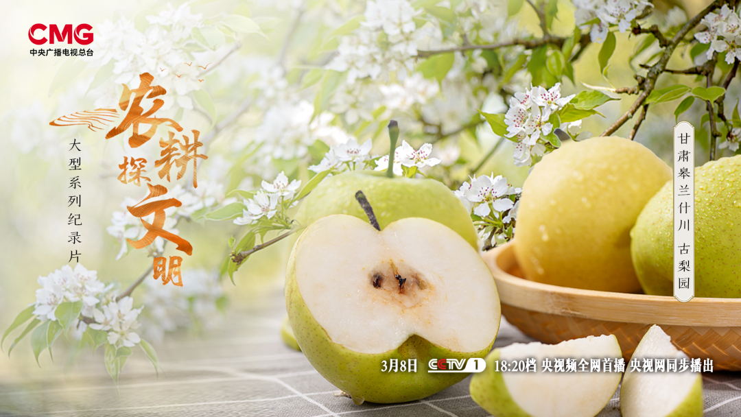 特稿｜展独特魅力　促文明交融——世界感受中国文化绽放新时代风采