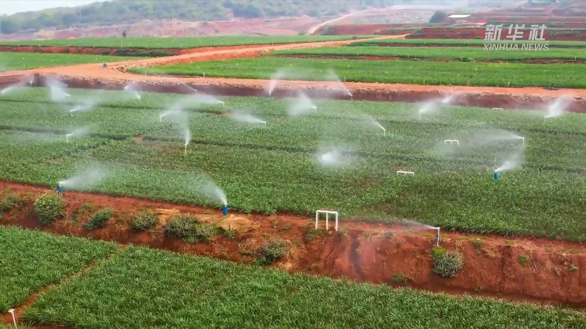 新华全媒+｜跨境贸易便利化举措培育外贸发展“硬”实力