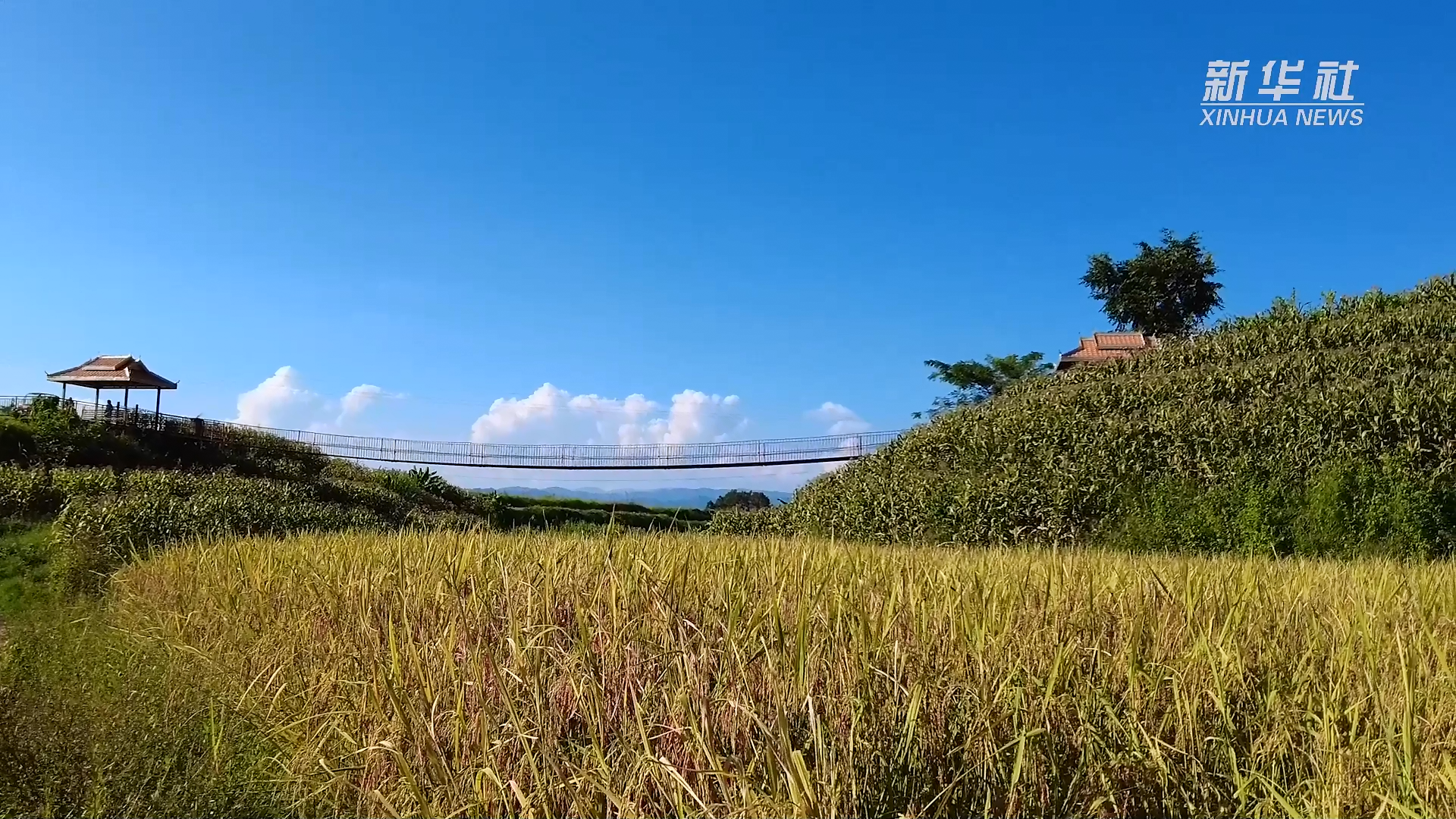 新华全媒+｜跨境贸易便利化举措培育外贸发展“硬”实力