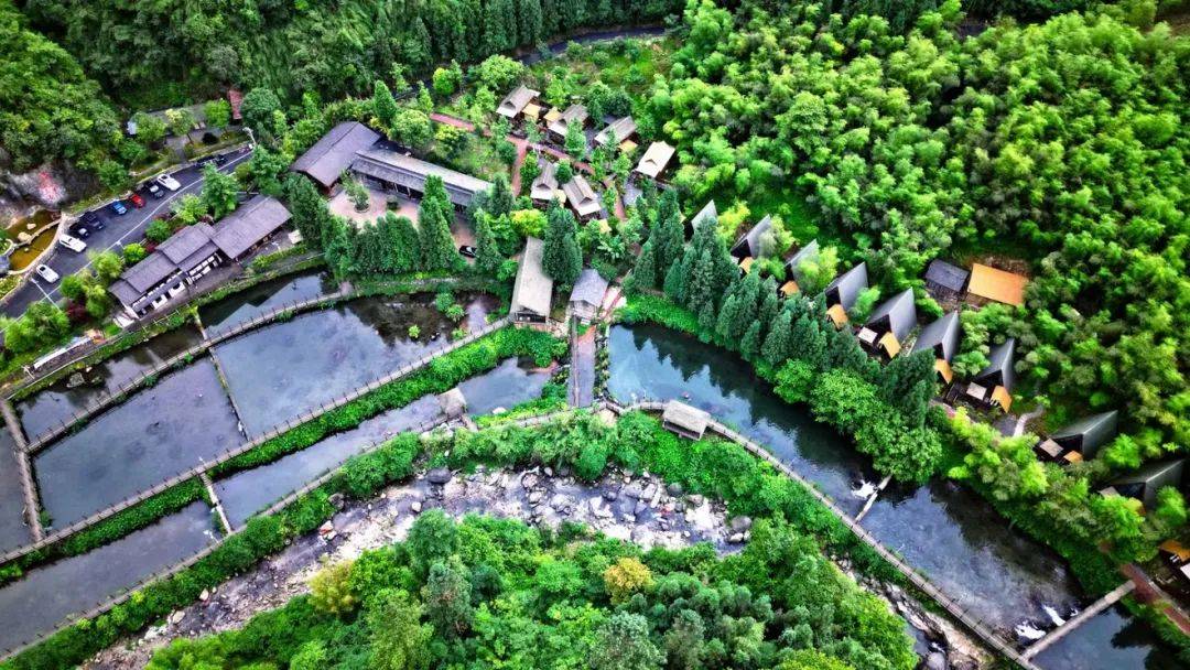 上海港与汉堡港签署合作备忘录共建绿色航运走廊