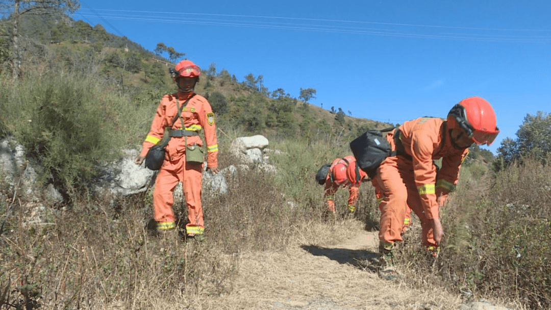 森林草原防火关键期，如何筑牢“防火墙”？