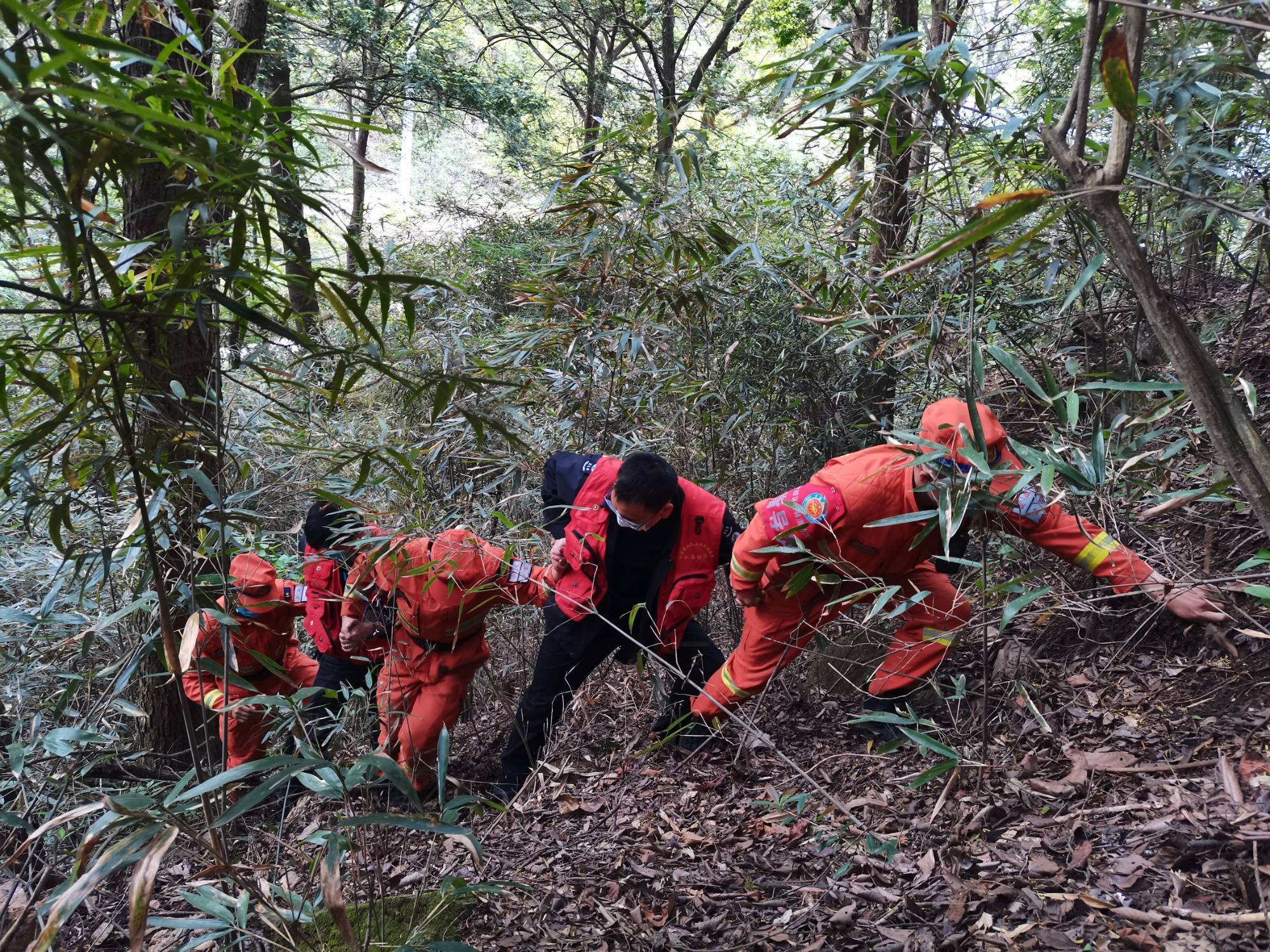 森林草原防火关键期，如何筑牢“防火墙”？