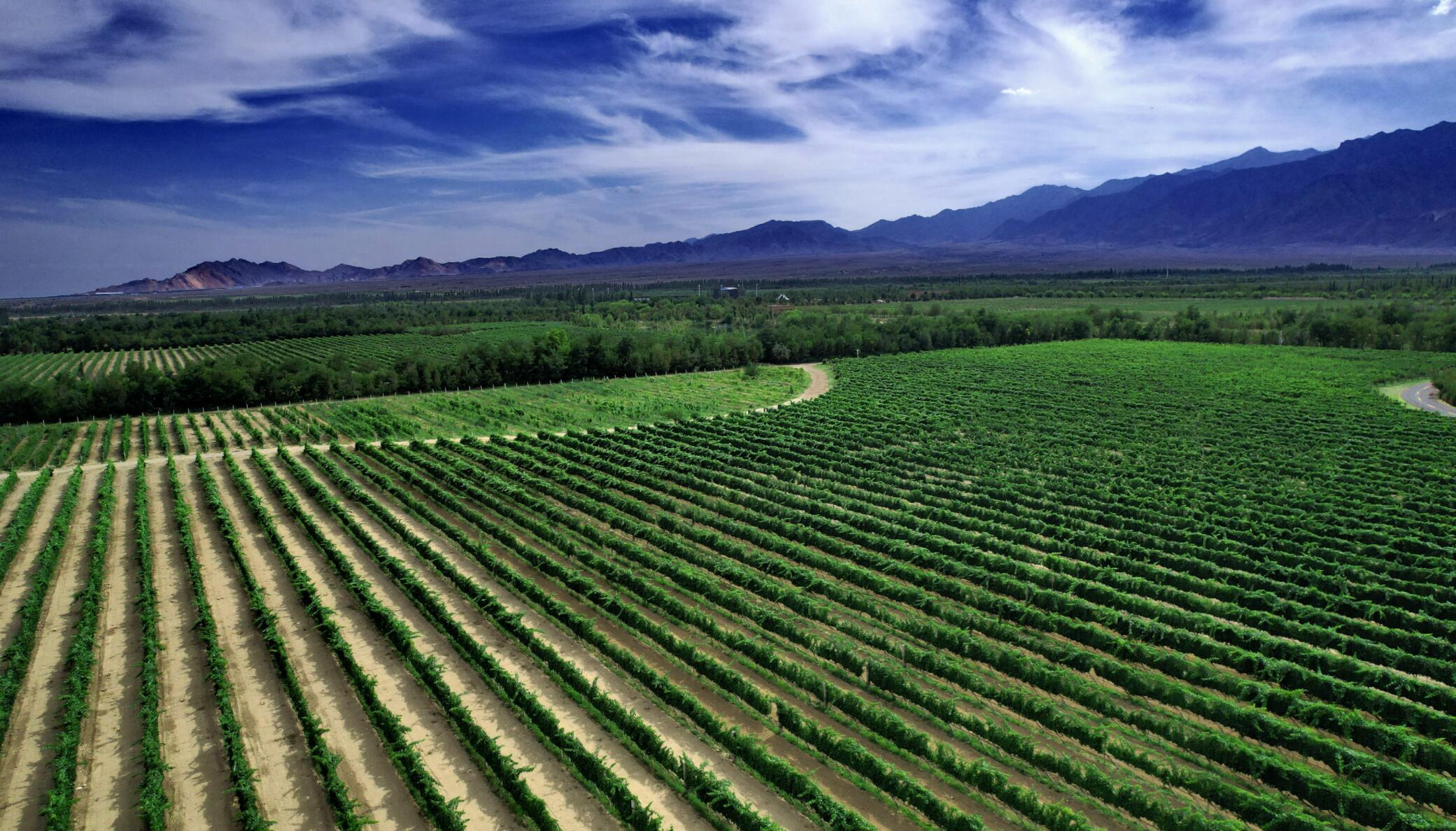 推动绿色贸易发展 为外贸稳增长添动能