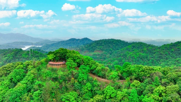 金融租赁助力产业“逐绿而行”