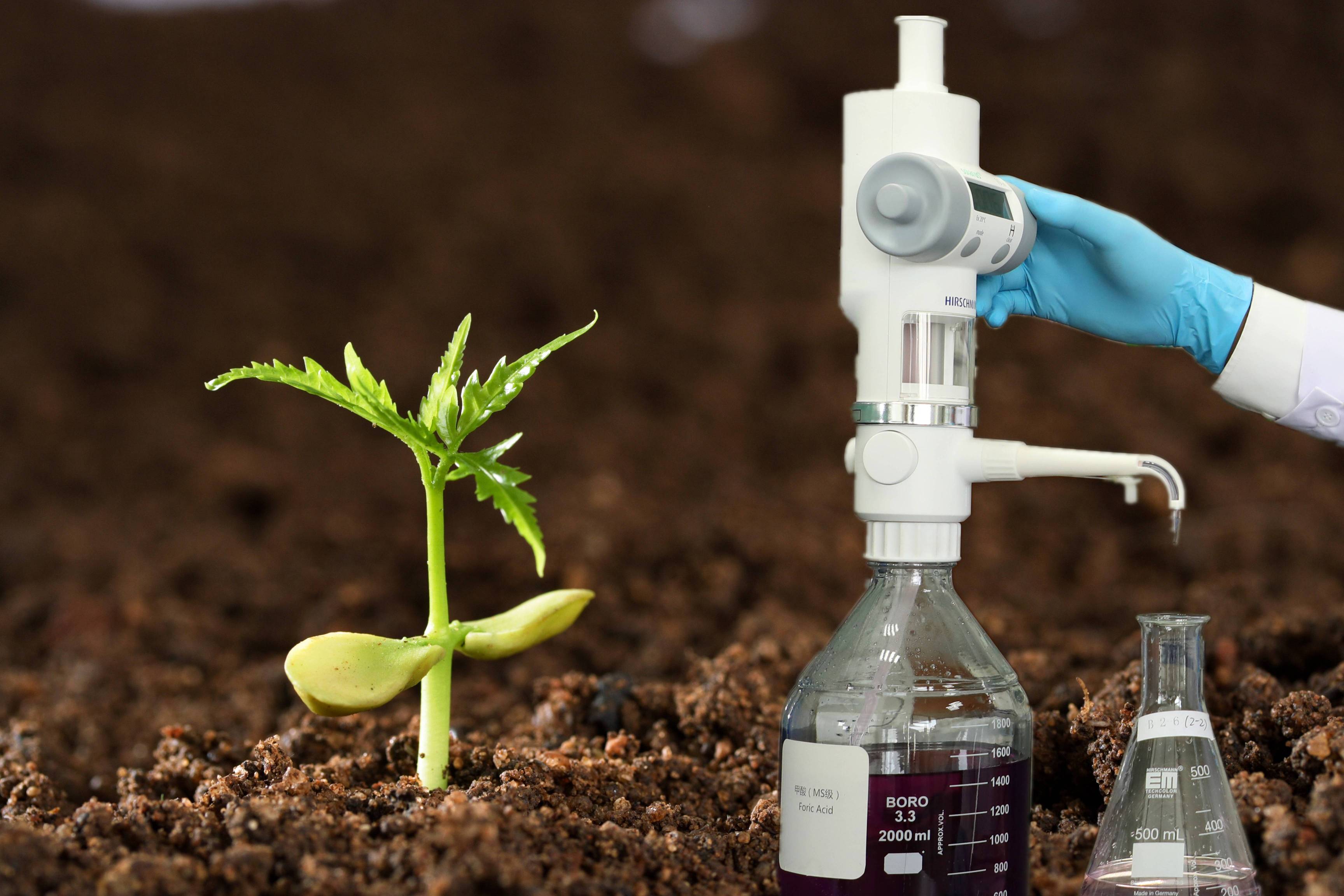 我国第三次全国土壤普查取得阶段性进展