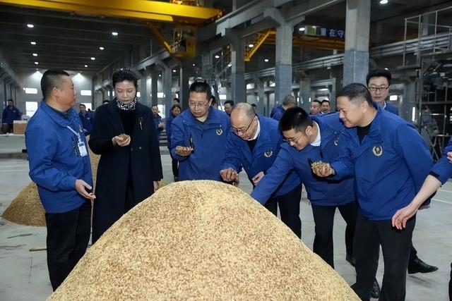 郎酒兼香战略深化：做确定的事，迈进确定的未来