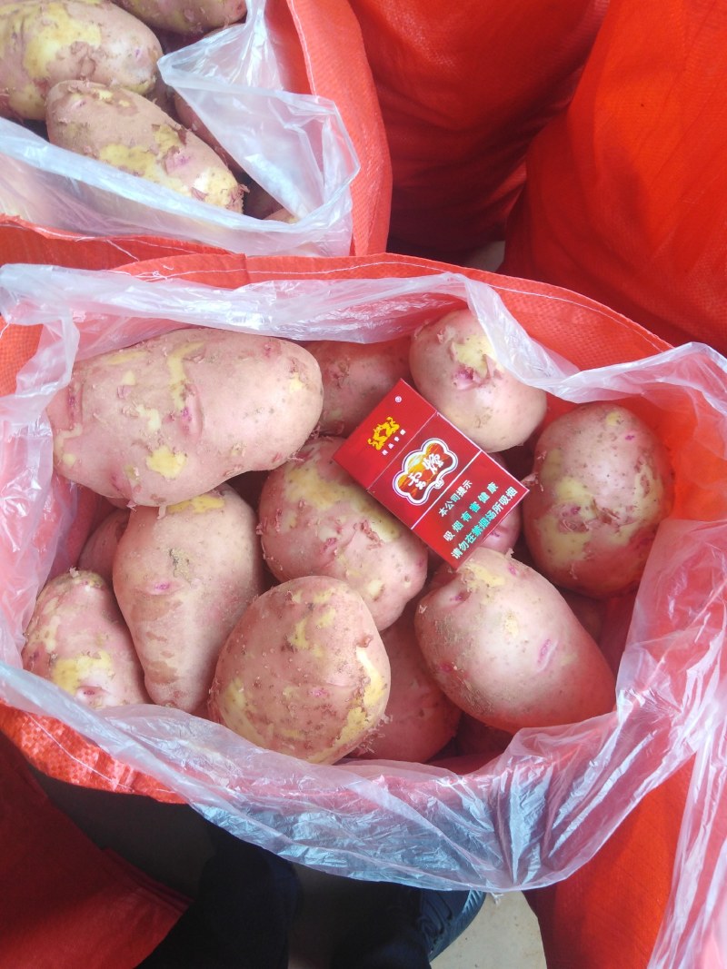 大西洋：子公司云南大西洋收到行政处罚决定书